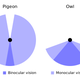 Illustration for article titled 10 Limits to Human Perception ... and How They Shape Your World
